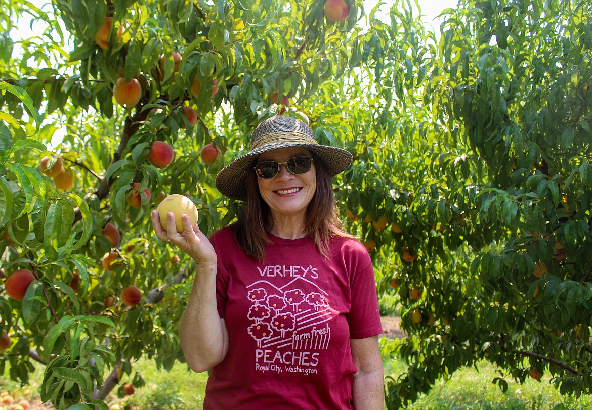 Heather Verhey, orchard manager for Verhey’s Peaches, holds up a peach in front of a line of peach trees in Royal City.