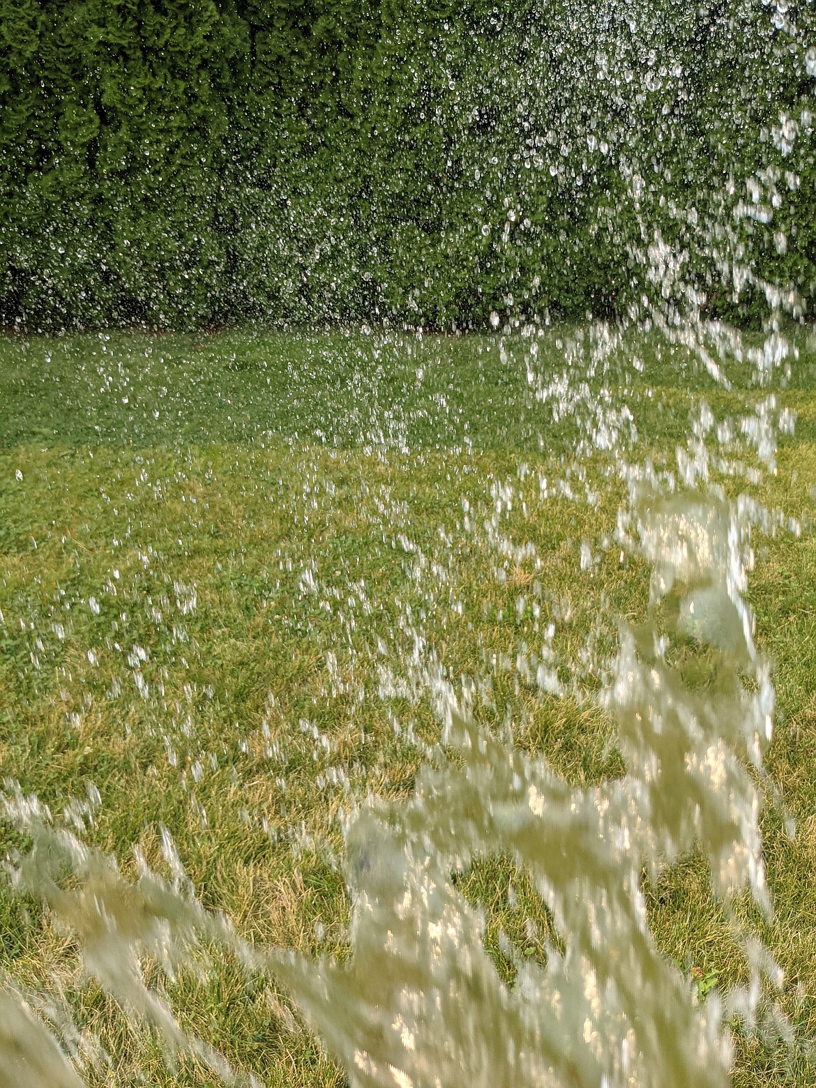 Reducing fire danger should be the top priority for lawn care during long periods of high temperatures.