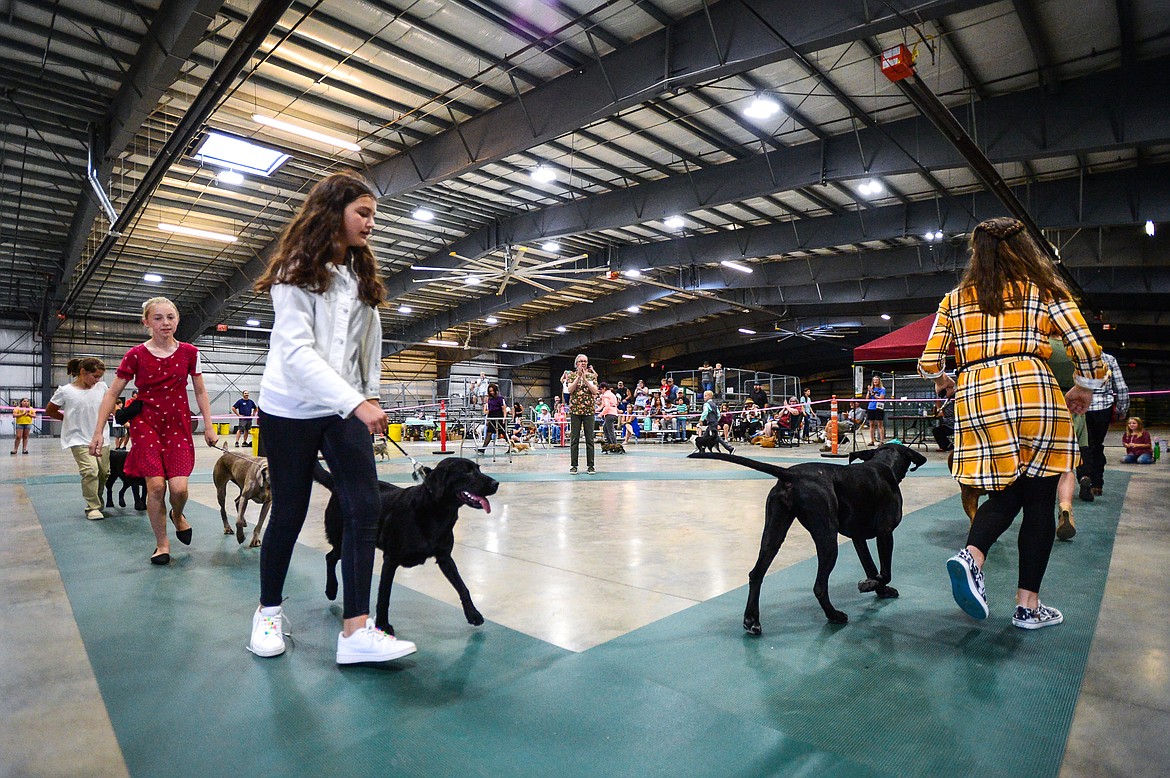 Contestants show their dogs around the arena at the 4-H Dog Show at the Northwest Montana Fair on Friday, Aug. 13. (Casey Kreider/Daily Inter Lake)