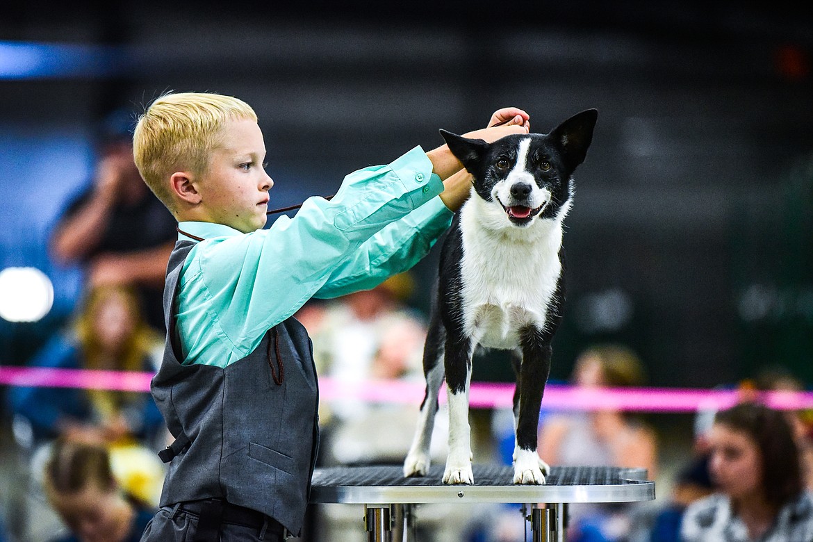 Colton Oedekoven shows his dog Meadow, a border collie cross, at the 4-H Dog Show at the Northwest Montana Fair on Friday, Aug. 13. (Casey Kreider/Daily Inter Lake)