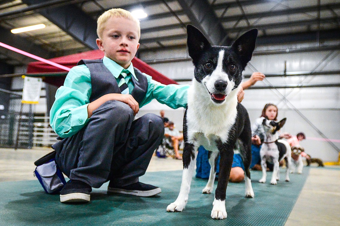 Colton Oedekoven with his dog Meadow, a border collie cross, at the 4-H Dog Show at the Northwest Montana Fair on Friday, Aug. 13. (Casey Kreider/Daily Inter Lake)