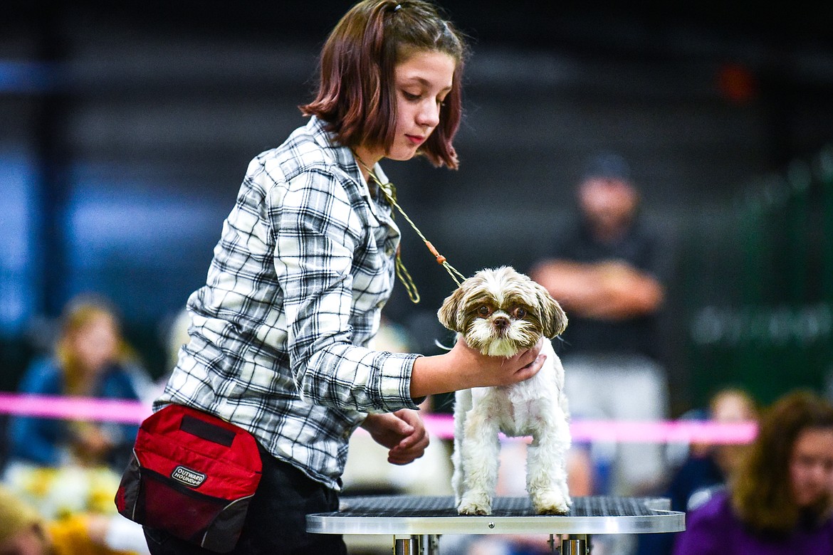 Kensley Hedstrom shows her Shih Tzu/Schnauzer mix Zeppy at the 4-H Dog Show at the Northwest Montana Fair on Friday, Aug. 13. (Casey Kreider/Daily Inter Lake)
