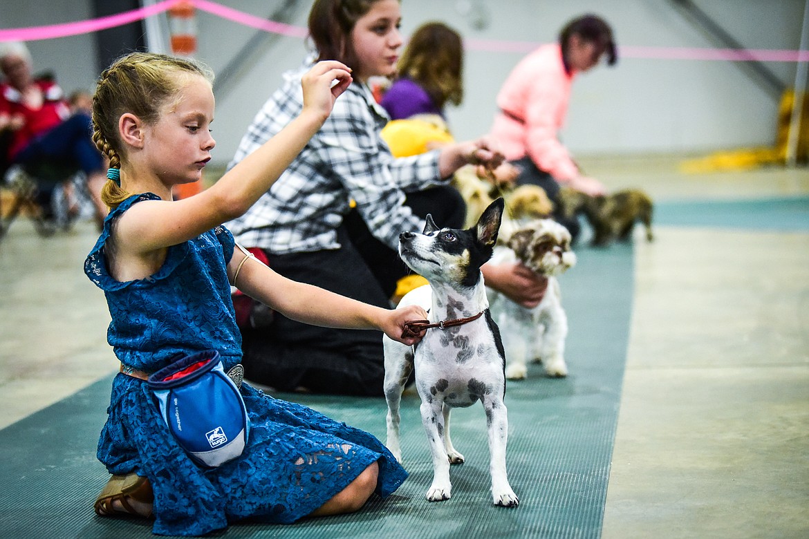 Kylee Oedekoven holds a treat for her Jack Russell/rat terrier mix named Echo at the 4-H Dog Show at the Northwest Montana Fair on Friday, Aug. 13. (Casey Kreider/Daily Inter Lake)