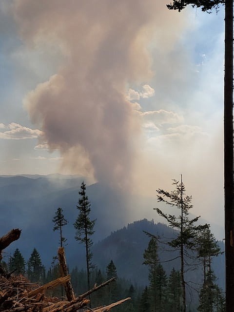 Smoke from the Deceitful Wildfire Monday afternoon.