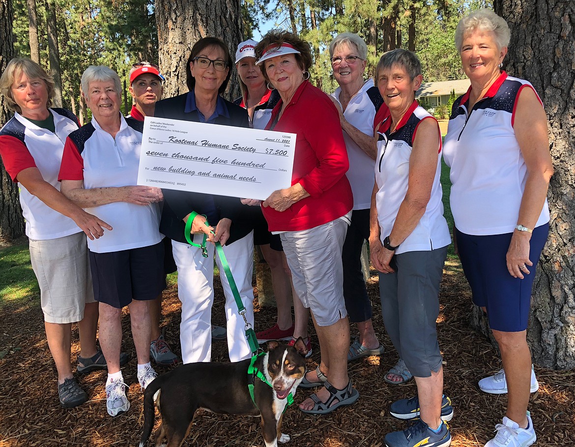 Courtesy photo
The board from the "Weekender" ladies 18-hole golf tournament at the Coeur d'Alene Golf Club recently presented a check to Vicky Nelson of the Kootenai Humane Society to for $7,500 for the new building and day-to-day needs for the animals. From left are Melody Morse, Mary Jo Bell, Vicki Moffat, Vicky Nelson, Amy Shibley, Char Conley, Nancy Van Der Stok, Anita Robinson and Kathy Clark; and in front, "Taffy".