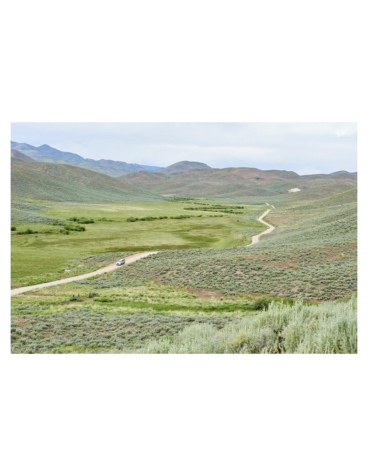 Photo courtesy University of Idaho
The combined effect of wolves and drought on human, plant and animal communities on rangeland in Idaho and eastern Oregon will be explored over a five-year period by a team of researchers led by the University of Idaho.