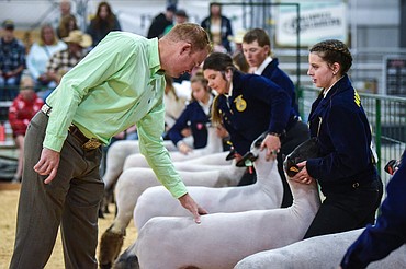 Judge Brett Moriarty speaks to Hollie Estey during market sheep judging at the Northwest Montana Fair and Rodeo on Tuesday, Aug. 17, 2021. (Casey Kreider/Daily Inter Lake)