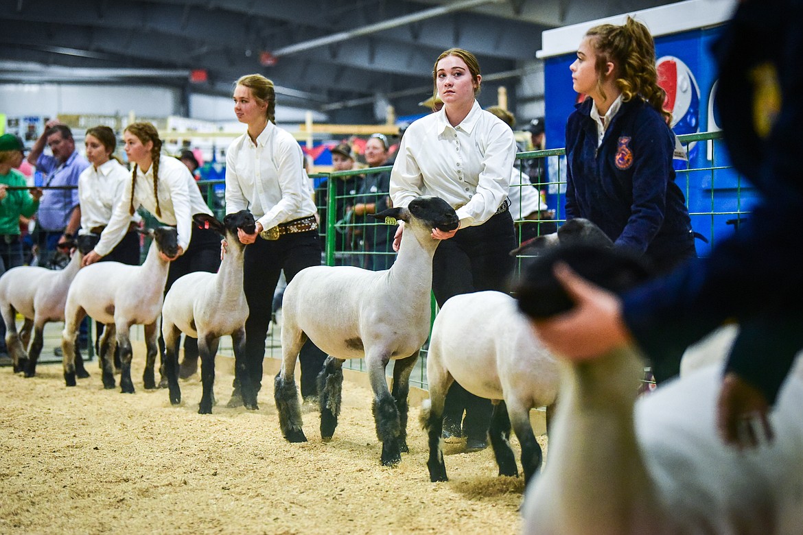 Contestants lead their sheep around the arena during  Market Sheep Judging at the Northwest Montana Fair on Tuesday, Aug. 17. (Casey Kreider/Daily Inter Lake)