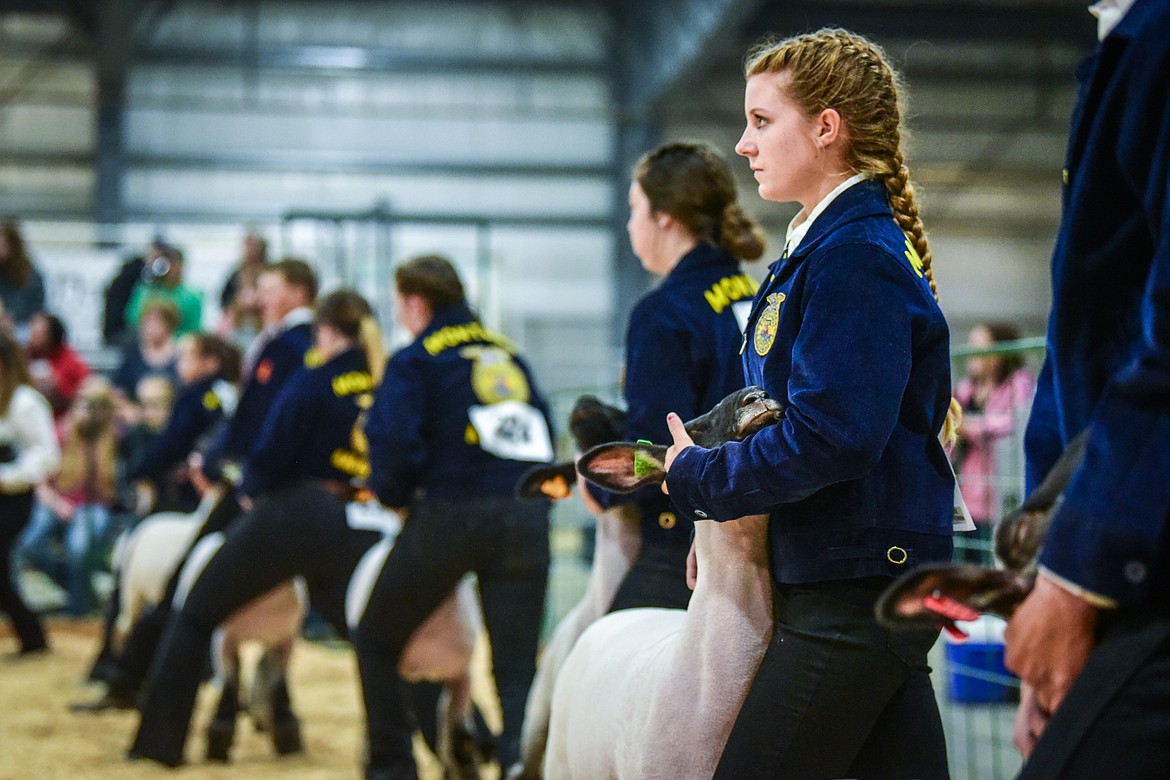 Katie Christensen and other contestants hold their sheep during market sheep judging at the Northwest Montana Fair and Rodeo on Tuesday, Aug. 17, 2021. (Casey Kreider/Daily Inter Lake)