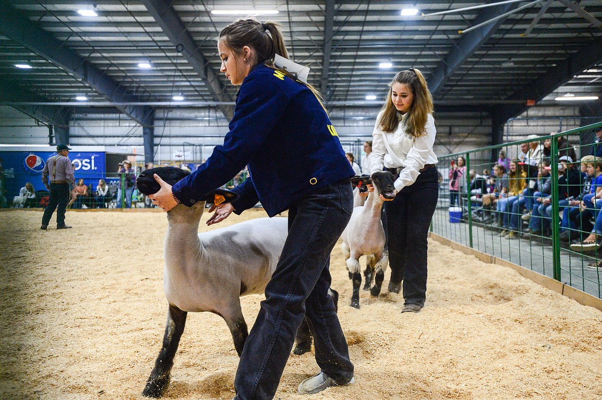 Contestants lead their sheep around the arena during  Market Sheep Judging at the Northwest Montana Fair on Tuesday, Aug. 17. (Casey Kreider/Daily Inter Lake)