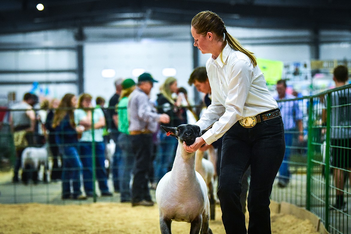 McKinley Bean leads her sheep around the arena during Market Sheep Judging at the Northwest Montana Fair on Tuesday, Aug. 17. (Casey Kreider/Daily Inter Lake)