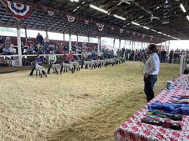 A judge evaluates the showmanship of a group of 4-H kids during the first morning of the Grant County Fair on Tuesday.