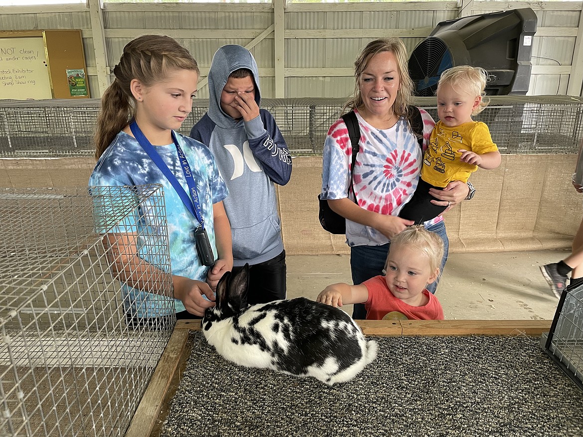 A girl shows off her rabbit to visitors in the rabbit barn during the first day of the Grant County Fair on Tuesday.