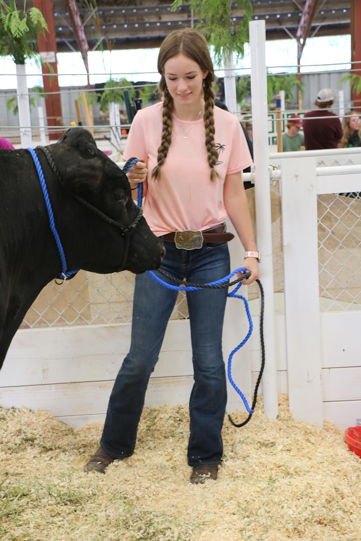 Kylie Evenson takes care of Riblet at the Bonner County Fair on Wednesday as she readies for action.