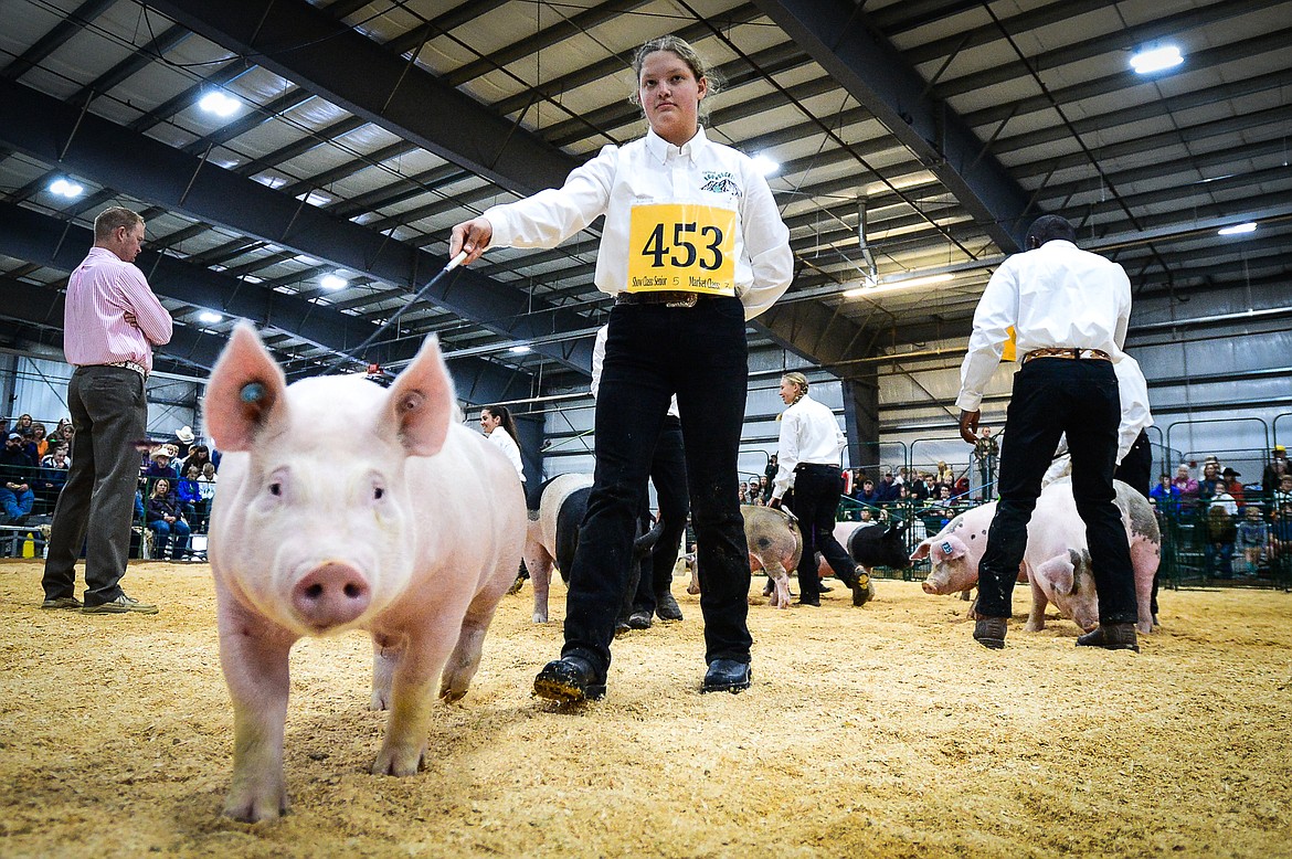 Rachelle Becker, with the Flathead Boondockers 4-H Club, guides her pig around the arena in front of judge Brett Moriarty, left, during Swine Showmanship and Market Swine Judging at the Northwest Montana Fair on Wednesday, Aug. 18. (Casey Kreider/Daily Inter Lake)