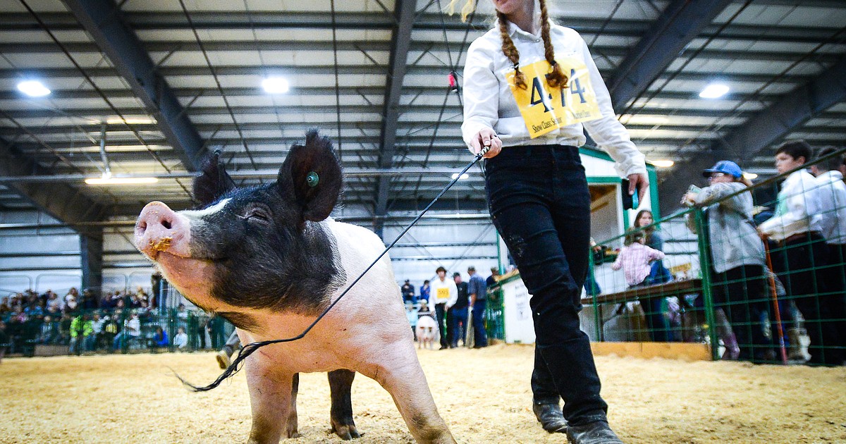 Entries open for 2026 Northwest Montana Fair competitions