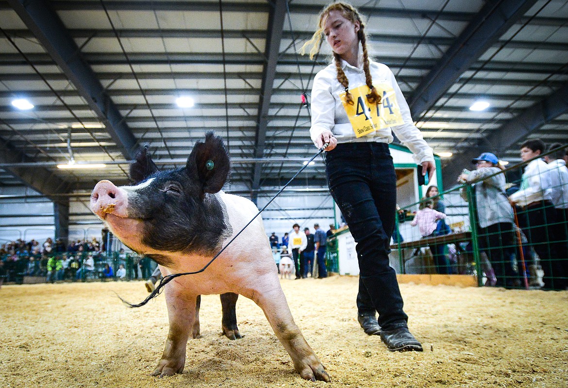 Patience Bain, with the Glacier View 4-H Club, guides her pig around the arena during swine showmanship and market swine judging at the Northwest Montana Fair and Rodeo on Wednesday, Aug. 18, 2021. (Casey Kreider/Daily Inter Lake)