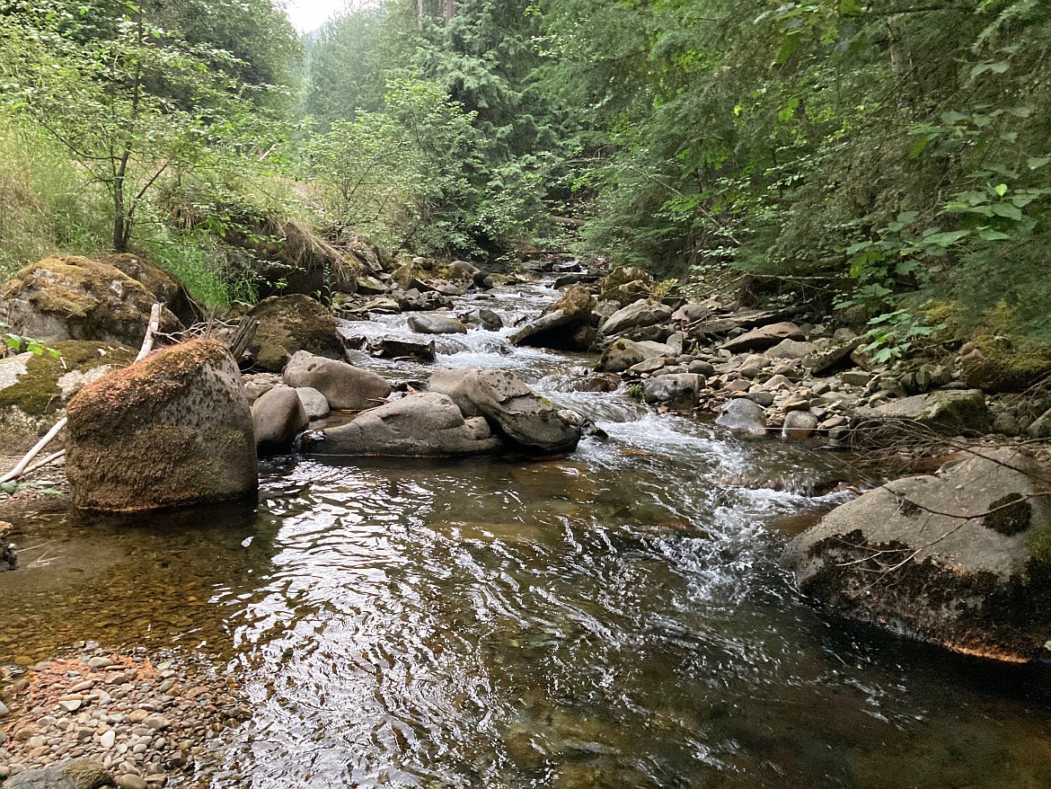 Ken Bouwens for Idaho Fish and Game
Trestle Creek is a tributary to Lake Pend Oreille in North Idaho.