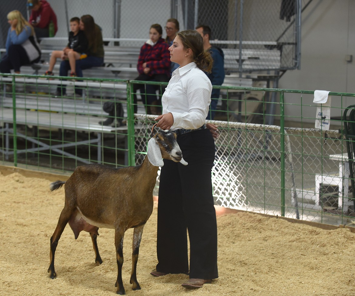 Old Goats, New Name - Flathead Beacon