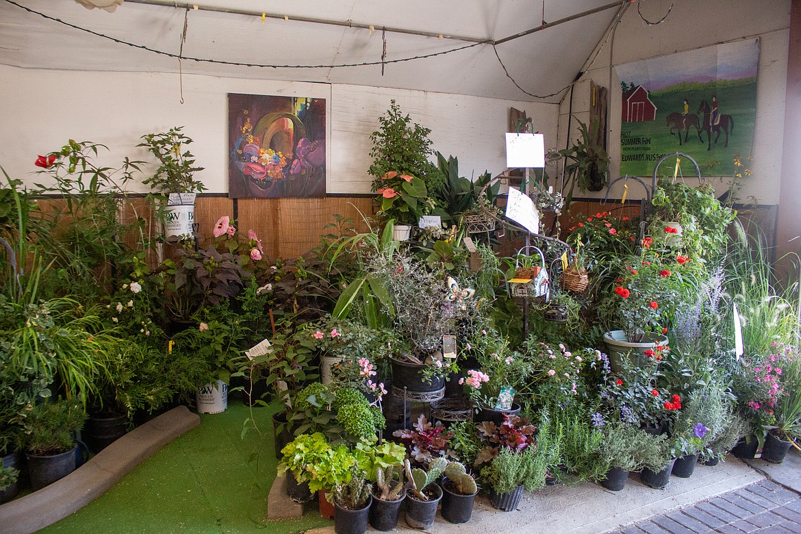 A variety of plants and flowers sit near the entrance of the Flower Building at the Grant County Fairgrounds on Wednesday afternoon.