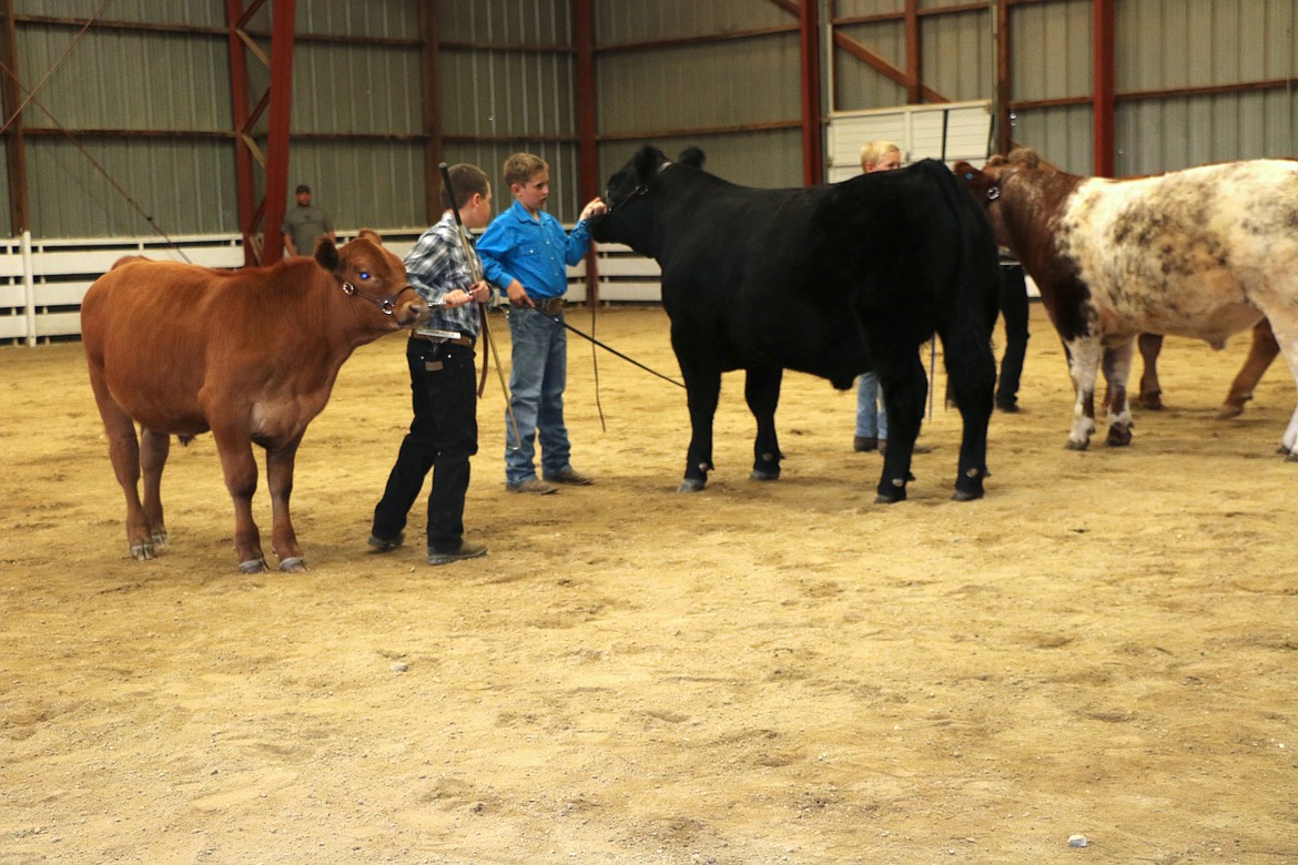 Fun at the Bonner County Fair.