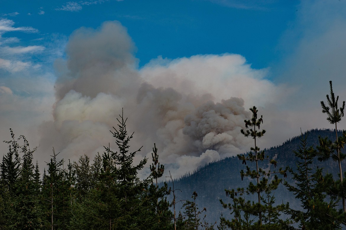 Significant precipitation has made a world of difference on the Trestle Creek Complex, fire officials said Friday.