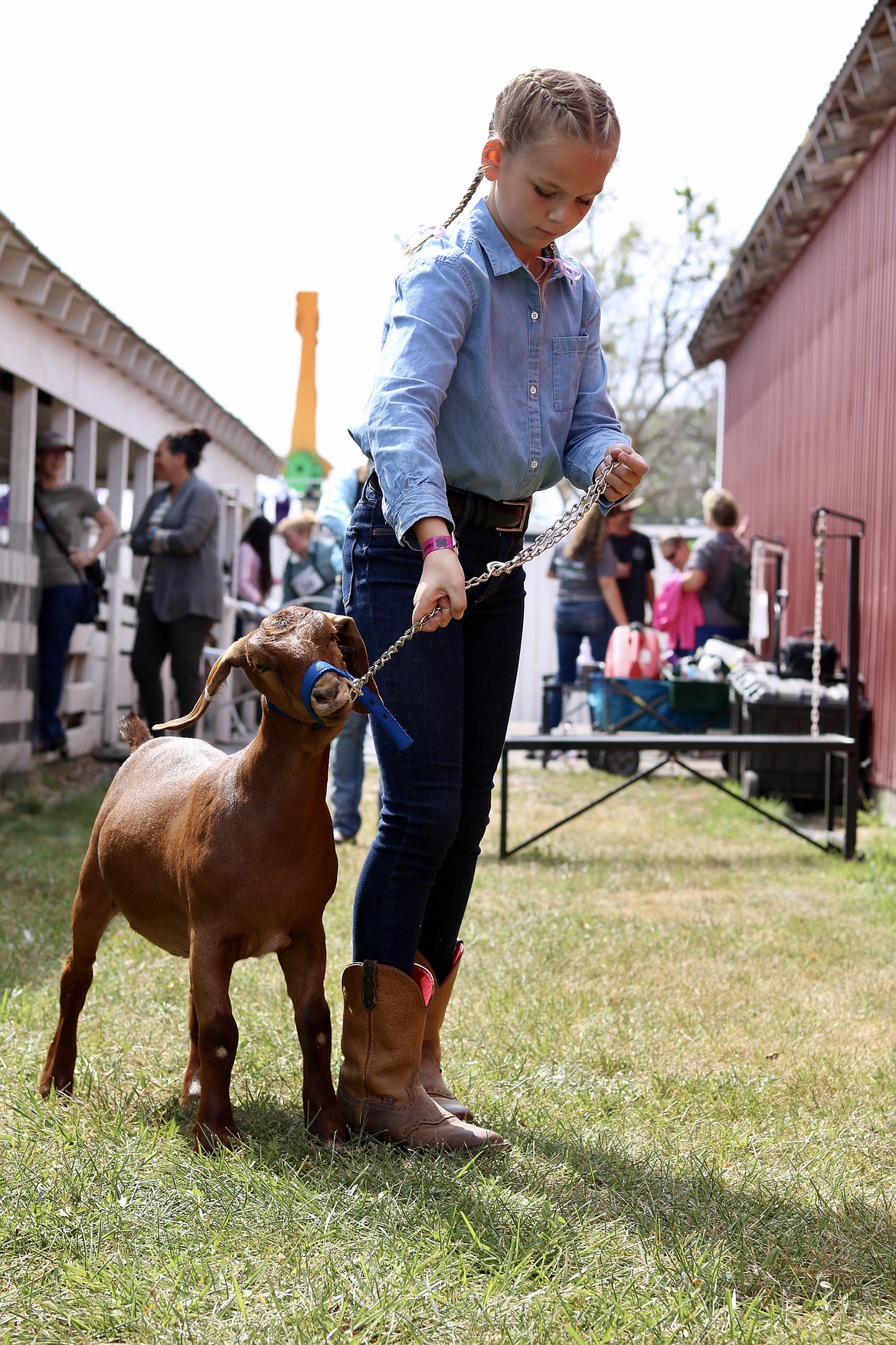 Jersey Larson, 11, practices walking her market goat, Darlin', for the market goat show at the North Idaho State Fair on Saturday morning. HANNAH NEFF/Press