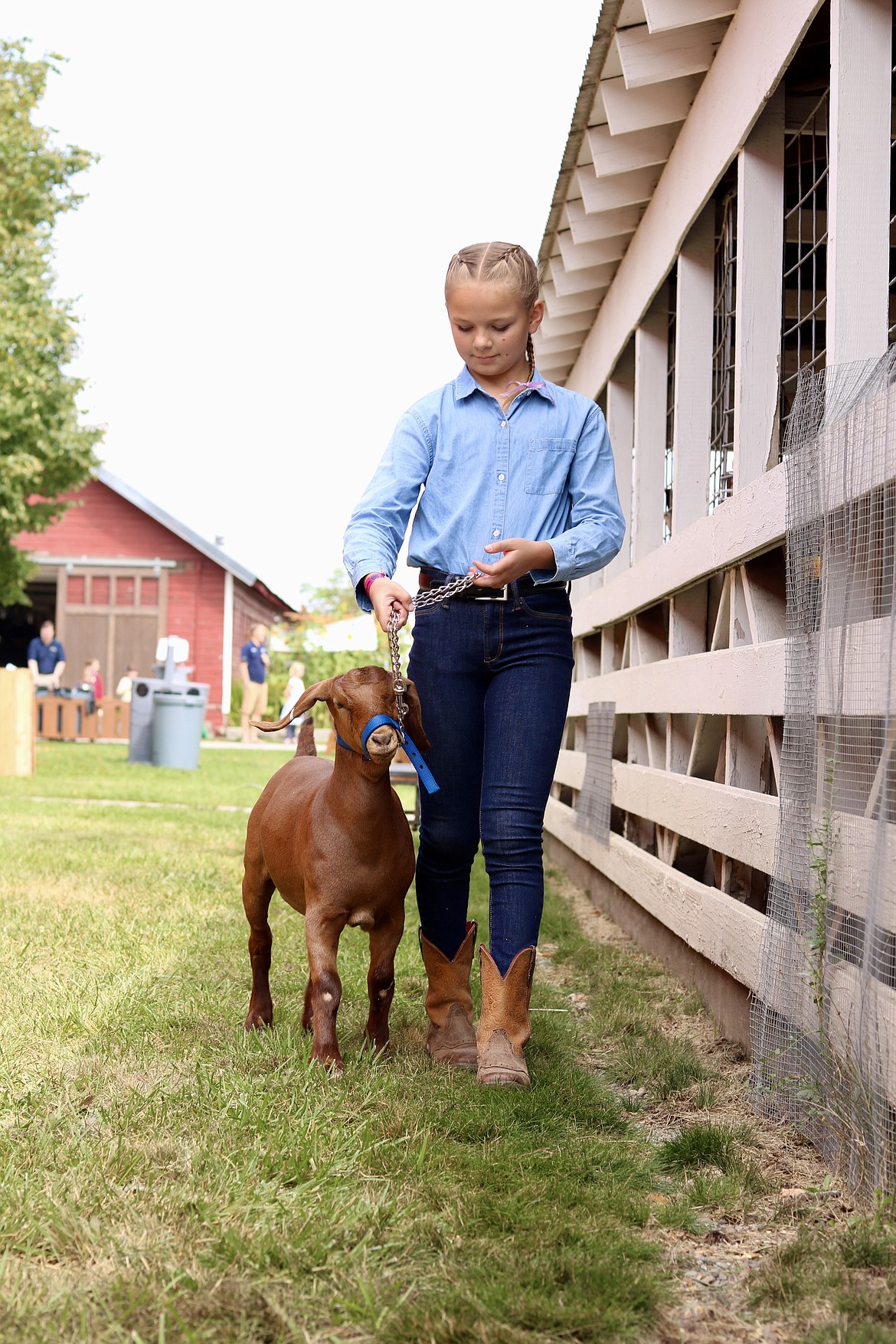 Jersey Larson, 11, walks her market goat, Darlin', to prepare for the market goat show on Saturday morning at the North Idaho State Fair. Larson has been participating in 4-H for four years. HANNAH NEFF/Press