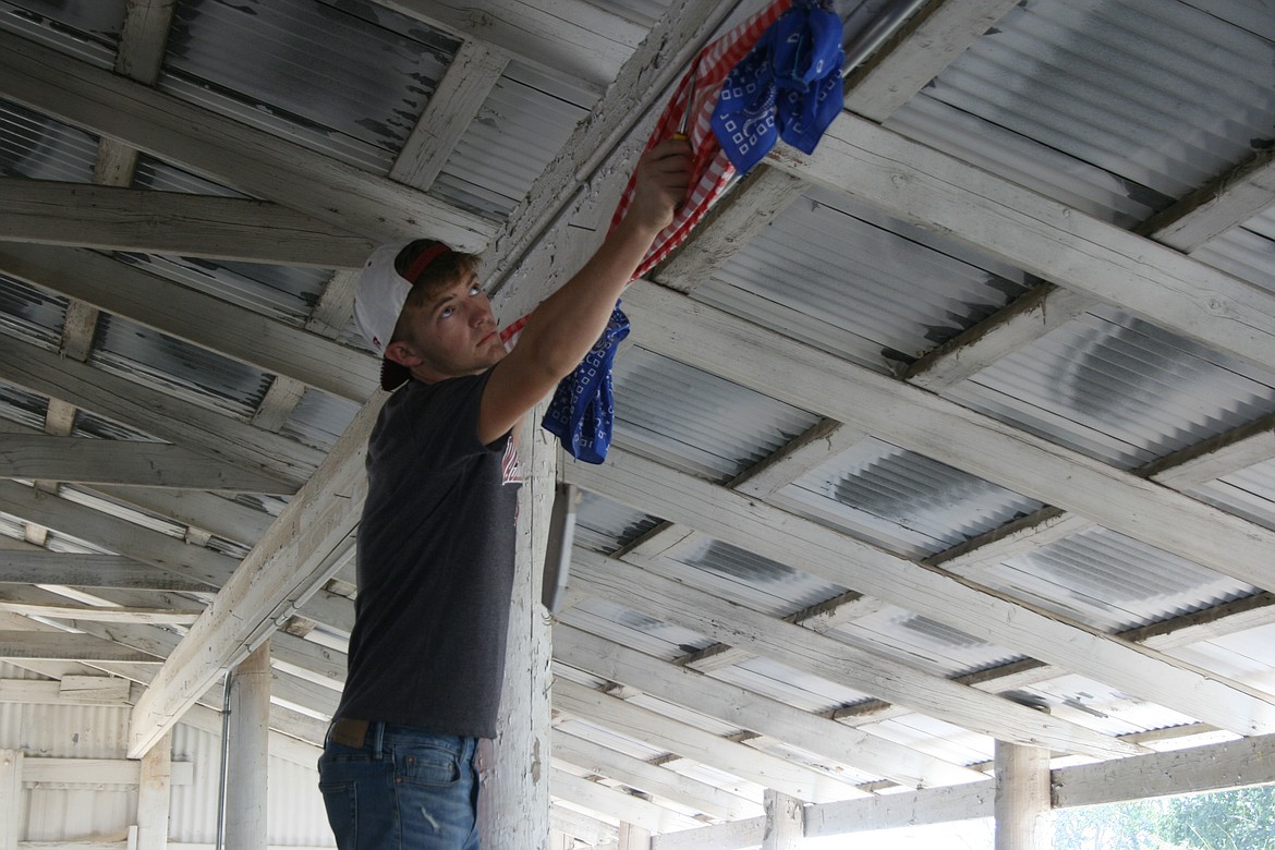 Powell Ahmann removes decorations from a cow stall at the Grant County Fairgrounds Sunday morning.