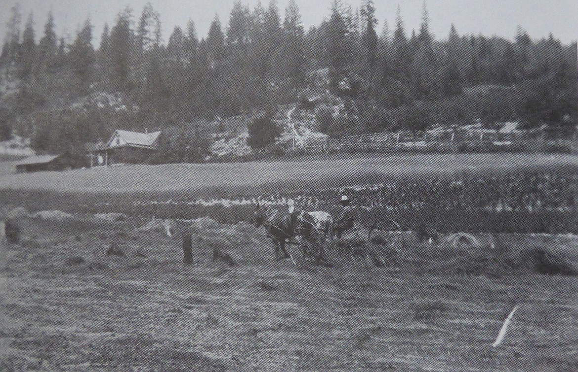 From the archives August 26, 2021 Bonners Ferry Herald