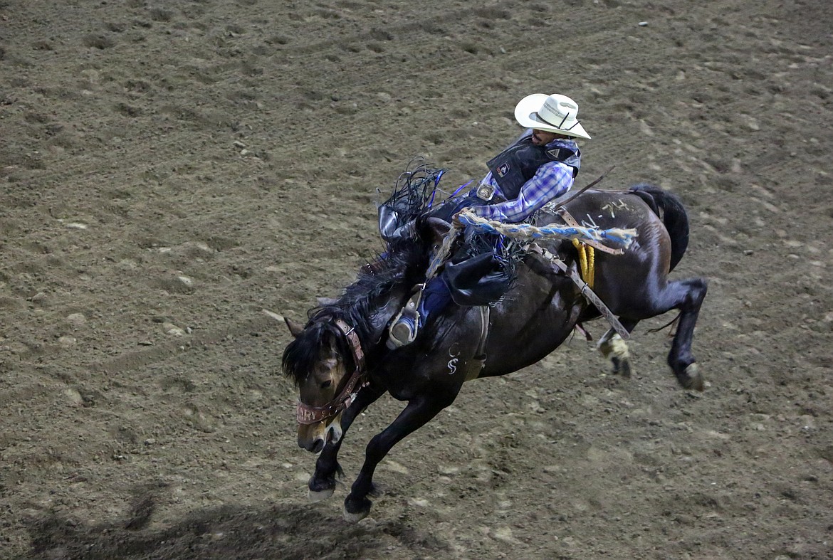 Leon Fountain of Socorro, New Mexico, holds on to his horse, Weary Joke, during the saddle bronc riding event Saturday night at the Moses Lake Roundup Rodeo.