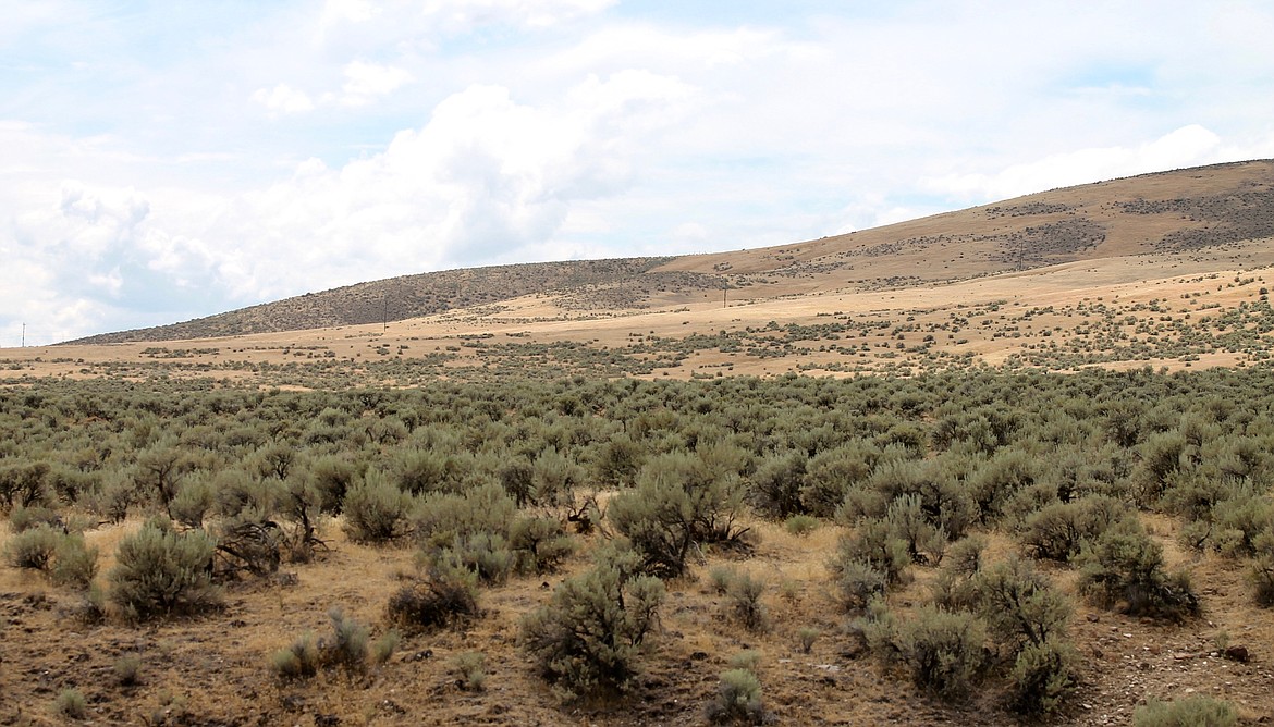 Keeping fire out of the Beezley Hills Preserve, where pygmy rabbit recovery efforts were hindered in 2020, is an ongoing effort.