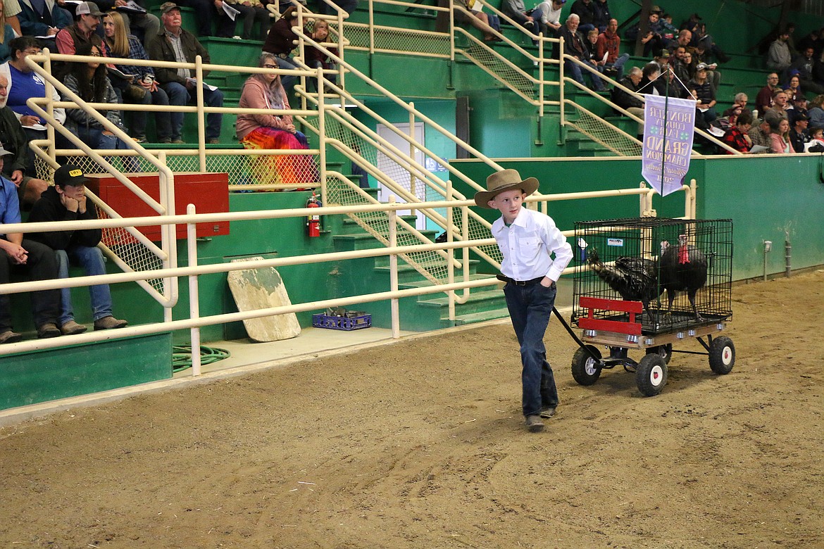 Fun at the Bonner County Fair.