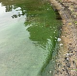Health advisory issued for Spirit Lake