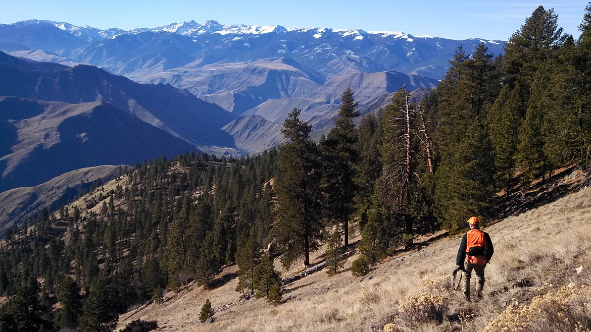 Idaho Fish and Game photo
Fish and Game Region 1 Supervisor Chip Corsi on the hunt in Idaho.