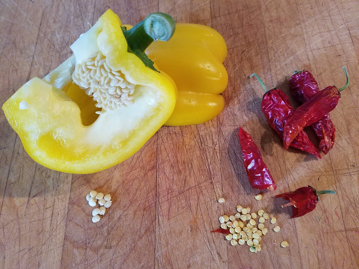 Scrape and dry seeds from thick-walled peppers. Dry thin-walled peppers whole and crack open to save seed.