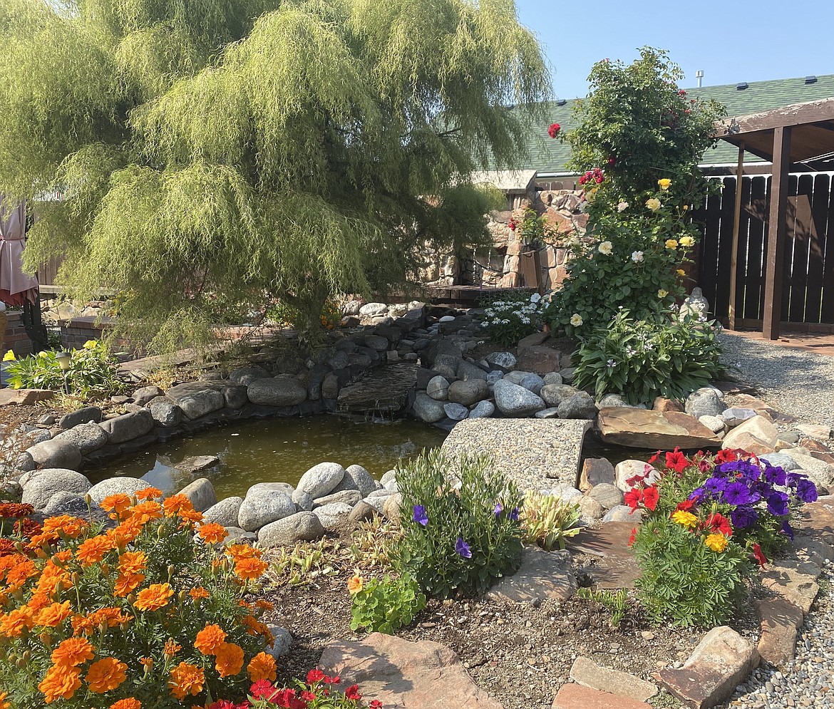 A labor of love, Dorothy Gohl's garden was created over a twenty year time span, with her late partner, Chuck.