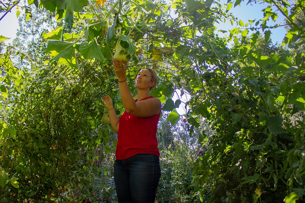 Rhea Flores looks at the butternut squash and tomatoes growing along the archways in her garden in Moses Lake.