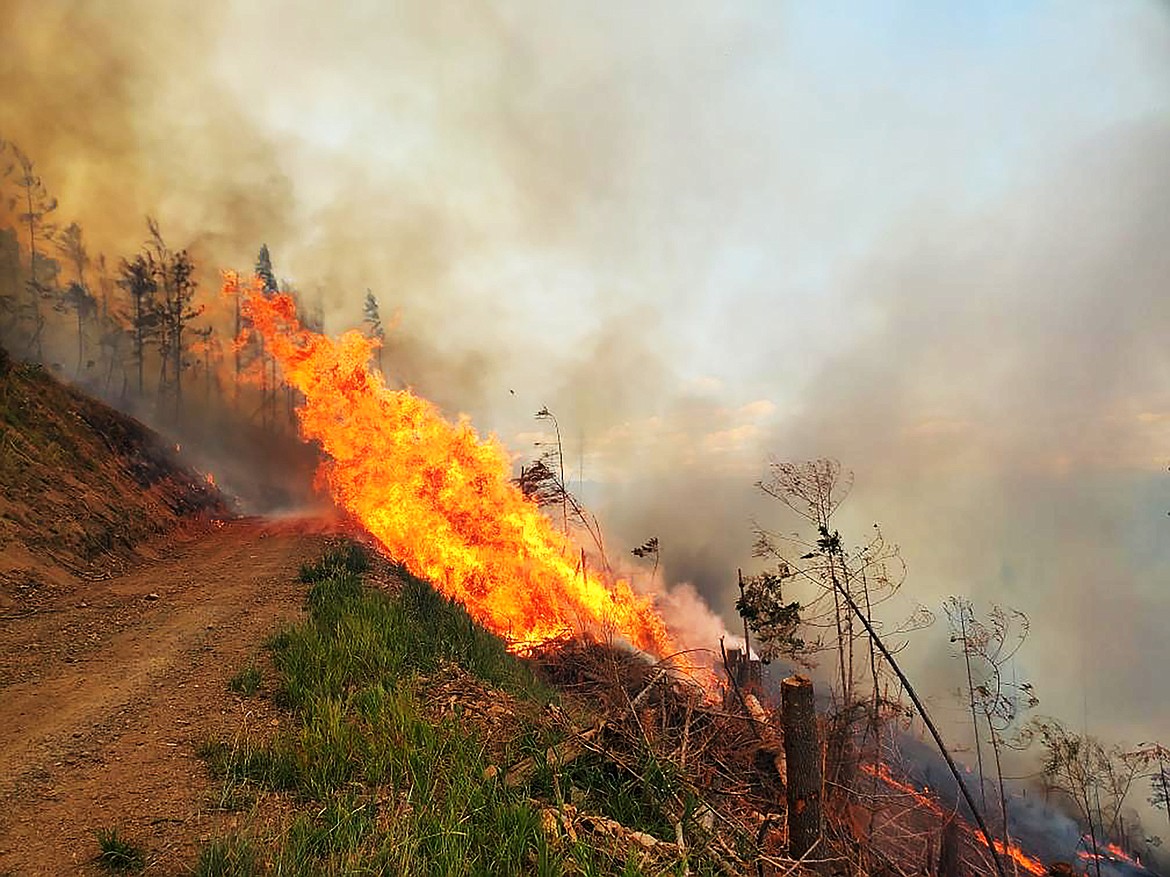 A photo from the Prater Red 2 Fire, located about 11 miles northeast of Priest River. The fire, reported Thursday morning, burned about 75 acres by 5 p.m., IDL officials reported on their website. No structures are threatened and no evacuations are in place.