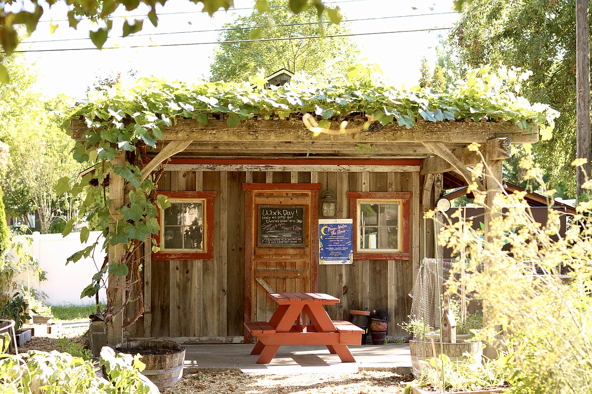 Shared Harvest Community Garden is hosting a fundraising dinner on Sept. 11 from 6 to 9 p.m. in the garden on 10th Street and Foster Avenue. Tickets are $40 and funds will go toward general operation costs. There will be live jazz music, an auction and paddle raise. HANNAH NEFF/Press