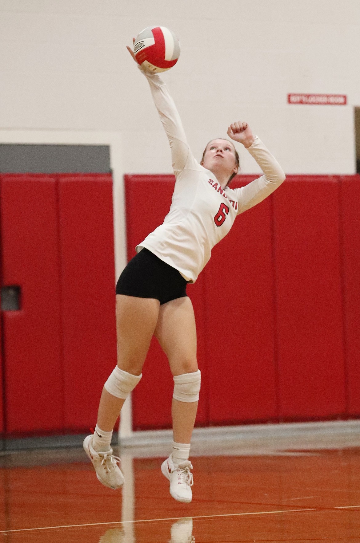 Junior Haley McAuliffe serves during Tuesday's match.