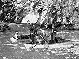 Yesterdays: Woman beats away bear with her binoculars