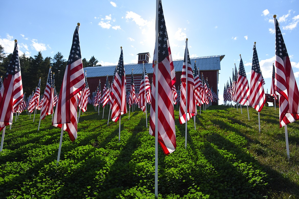 Bigfork foundation presents flag display to remember 9 11 Daily