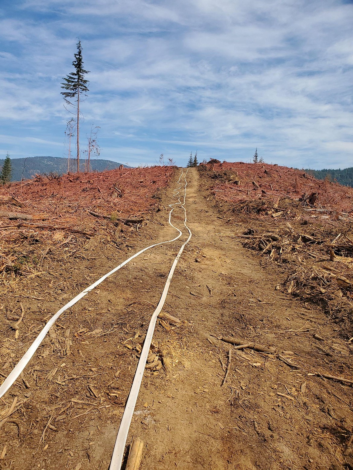 Constructed fireline with hose lay and retardant drops on either side.