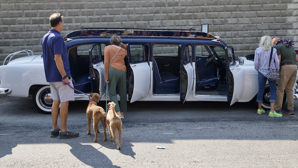 Should we load up? These dogs might be ready to load this handsome limo. (Kay Bjork photo)