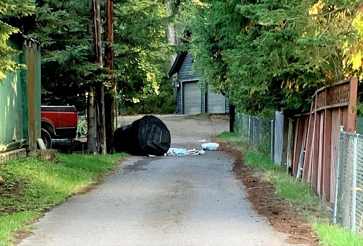 An unsecured garbage can is an easy target for bears to find food. State wildlife officials say bear activity is on the rise in Northwest Montana. Whitefish has reported 19 black bears getting into garbage and eating fruit in its urban center. State officials are urging people to securely store garbage to prevent bear encounters. (Montana Fish, Wildlife and Parks photo)