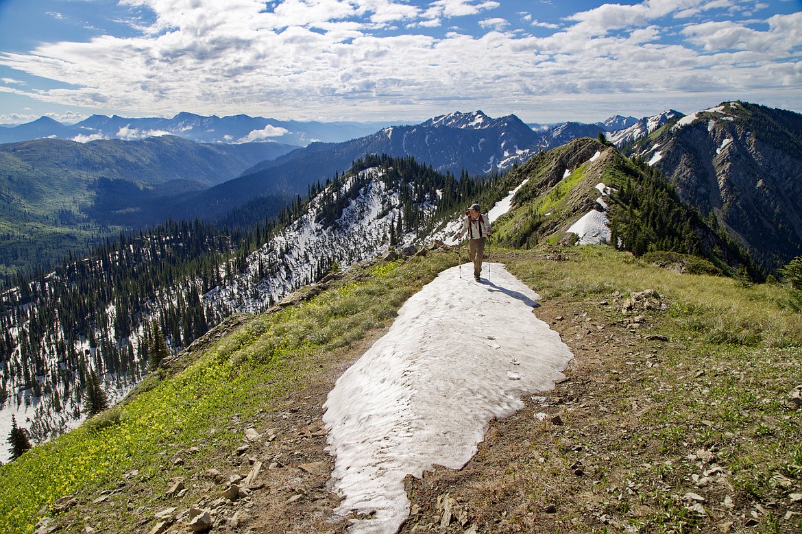 Winter, spring to summer. A hiker walks along a ridgeline in the Jewel Basin where glacier lilies seem to spill below a snowfield that still remains in early summer.