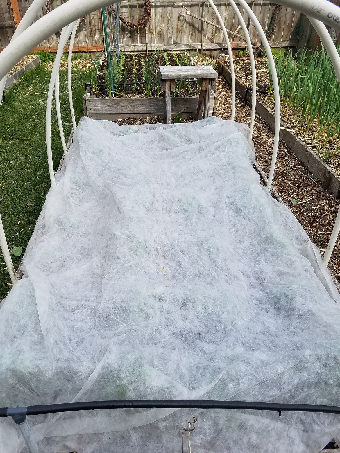 Floating row covers pull double duty protecting your garden from early frosts in the fall and late frosts in the spring.