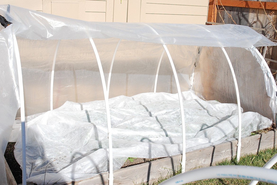 Using a floating row cover inside a low tunnel offers even more protection from frost damage.