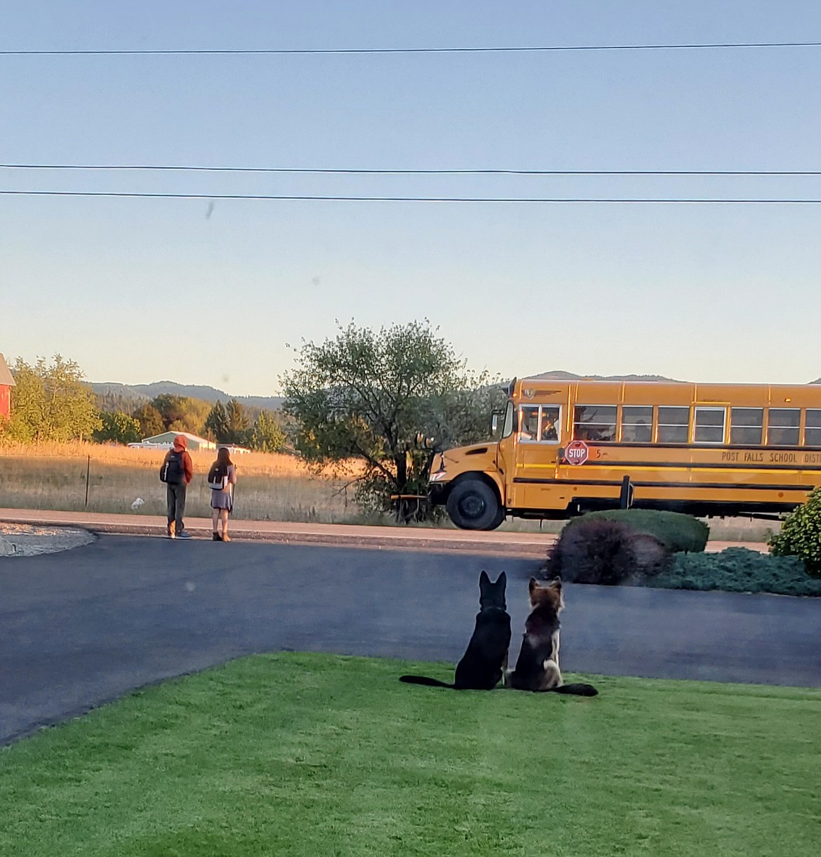 Jessica Lamb captured this photo of her kids, Logan and Lilah, about to board the bus for their Post Falls schools under the watchful eyes of their four-legged friends, Zeus and Apollo.